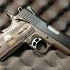 Kimber1